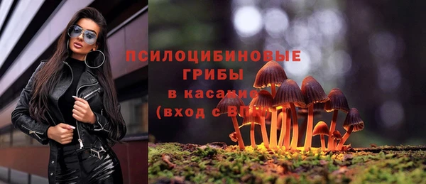 MDMA Беломорск