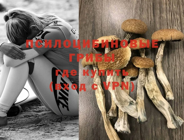 MDMA Беломорск